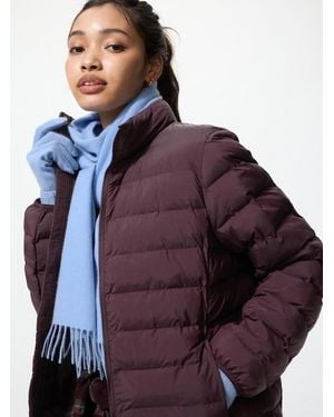 Uniqlo Puffertech Jacket - Purple