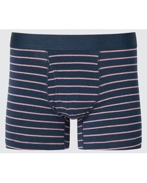 Uniqlo Cotton Boxer Briefs (Striped) - Blue