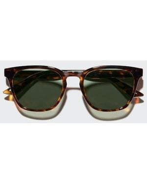 Uniqlo Sunglasses (Square) - Brown