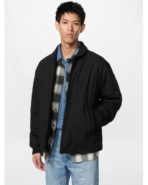 Uniqlo Chaqueta Canalé - Negro