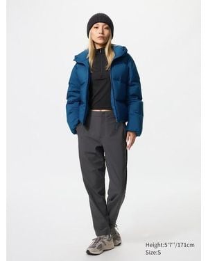 Uniqlo Pantalón Cálido Elástico - Azul