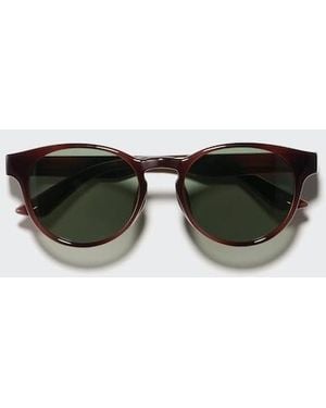 Uniqlo Sunglasses (Boston) - Brown
