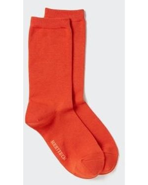 Uniqlo Mujer Heattech Calcetines Térmicos - Rojo
