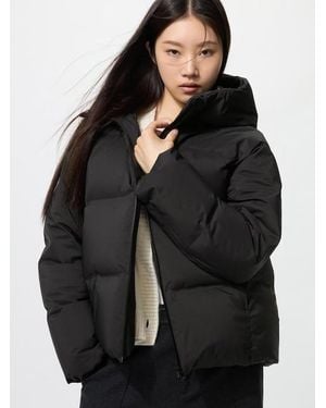 Uniqlo Parka Plumas Sin Costuras - Negro