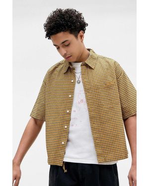 BDG Tan Arlo Check Crop Oxford Shirt - Multicolour