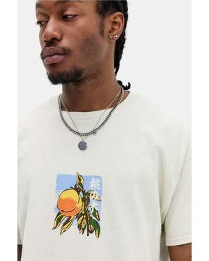 Urban Outfitters Uo Ecru Yamanashi Peach T-shirt - Natural