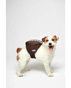 Urban Outfitters Hostess Sweet Treat Halloween Pet Costume - Multicolor