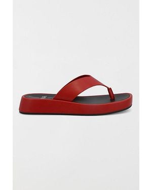 MIA Mia Pamelia Platform Thong Sandal - Red