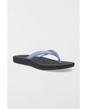 Sanuk Cosmic Shores Sandals - Blue