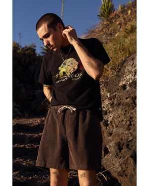 BDG Brown Corduroy Shorts