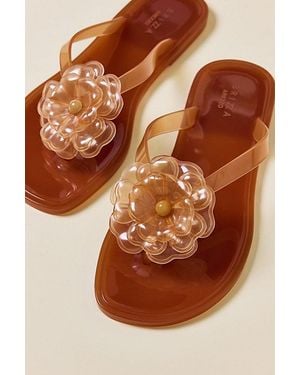 Brizza Arezzo Flower Jelly Sandals - Brown