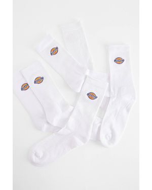Dickies White Valley Grove Socks 3-pack - Blue