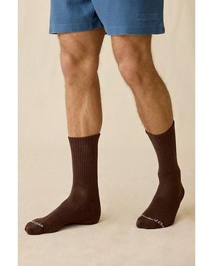 Standard Cloth Performance Crew Socks - Brown