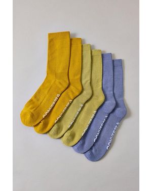 Converse Foundational Crew Socks 3-Pack - Multicolour