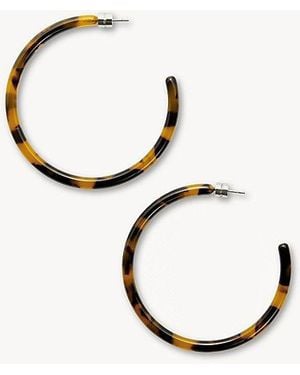 Machete Italian Acetate Large Hoop Earrings - Black