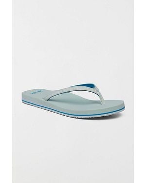 Sanuk Yoga Joy Ii Sandals - Blue