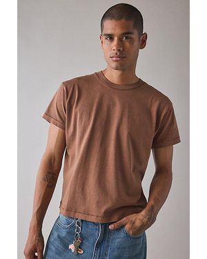 BDG Bonfire Cropped Cotton Tee - Brown