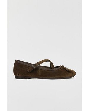 Circus by Sam Edelman Zuri Ballet Flats - Brown