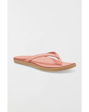 Sanuk Wave Whisper Sandals - Pink