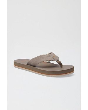 Sanuk Beer Cozy Iv Sandals - Multicolor