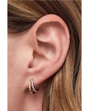 Ana Luisa Toda Huggie Earrings - Brown