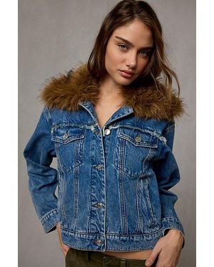 Steve Madden Marky Faux Fur Trim Denim Jacket - Blue