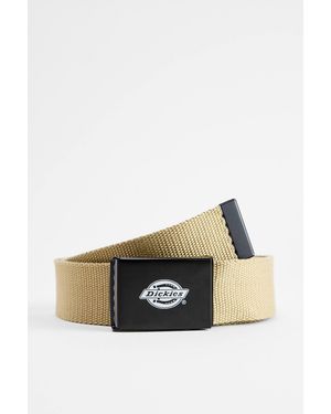 Dickies Khaki Orcutt Belt - Green