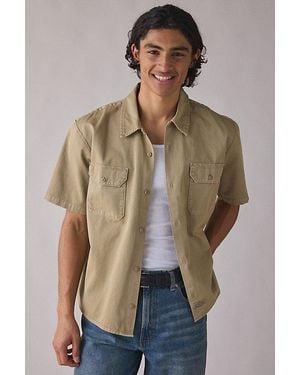 Dickies Worn - Natural