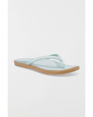Sanuk Wave Whisper Sandals - Blue