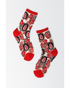 Sock Candy Cameo Rose Sheer Sock - Red