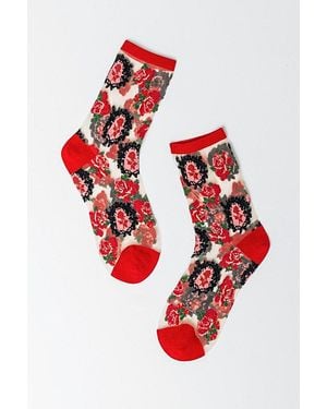 Sock Candy Cameo Rose Sheer Sock - Red