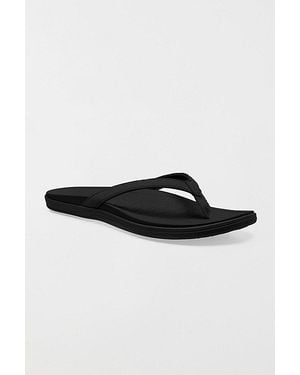 Sanuk Wave Whisper Sandals - Black