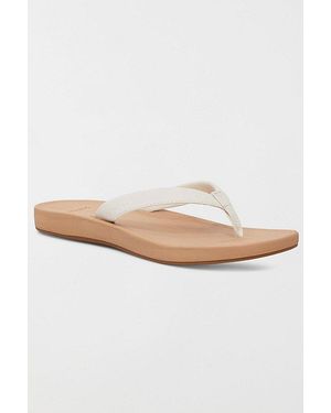 Sanuk Cosmic Shores Sandals - White