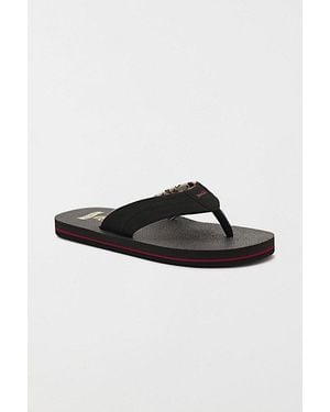 Sanuk Beer Cozy Iv Sandals - Black