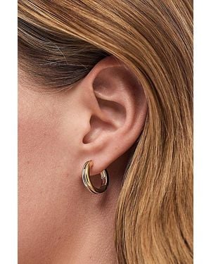 Ana Luisa Asher Medium Hoop Earrings - Brown