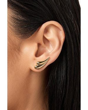 Ana Luisa Kia Statement Earrings - Black