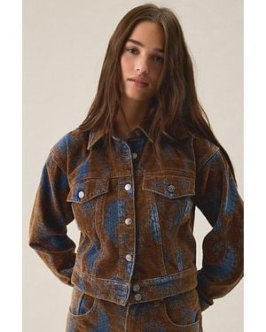 Steve Madden Dove Cropped Denim Jacket - Brown