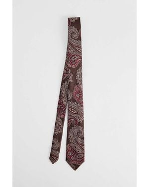 Urban Outfitters Uo Brown Paisley Tie
