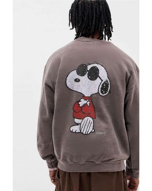 Urban Outfitters Uo Brown Snoopy Sweatshirt - Grey