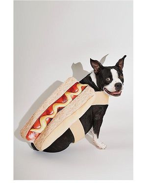 Funworld Hot Dawg Pup Dog Pet Costume - Gray