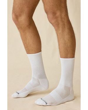 Standard Cloth Performance Crew Socks - White
