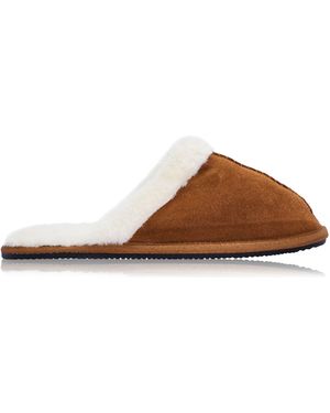 Superdry Slipper Mule - Brown