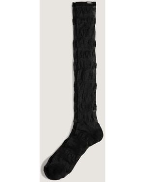 Vans Premium Enthusiast Sheer Socks (1 Pair) Size: L (8.5-12​ - Black