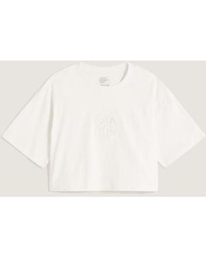Vans Ellipse Relax Crop T-Shirt - Natural