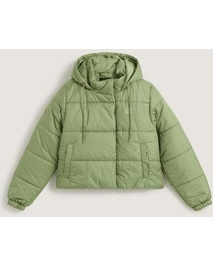 Vans Hillgate Cropped Puffer Jack, Vrouw, Grootte - Groen