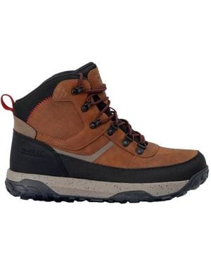Regatta Renford Walking Shoes /Rio) - Brown