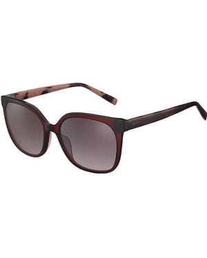 Esprit Sunglasses Et40090 531 55 - Black