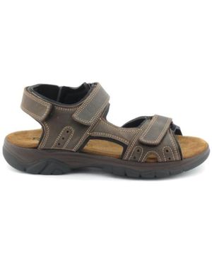 Rohde 5950 71-Espresso - Bruin