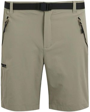 Regatta Xert Iii Stretch Shorts (Golden) - Green