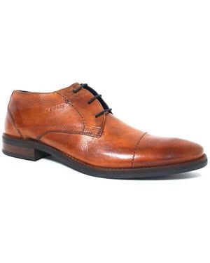 Bugatti 311-58401 - Bruin